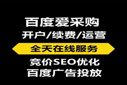 行业标杆的SEM竞价营销案例研究